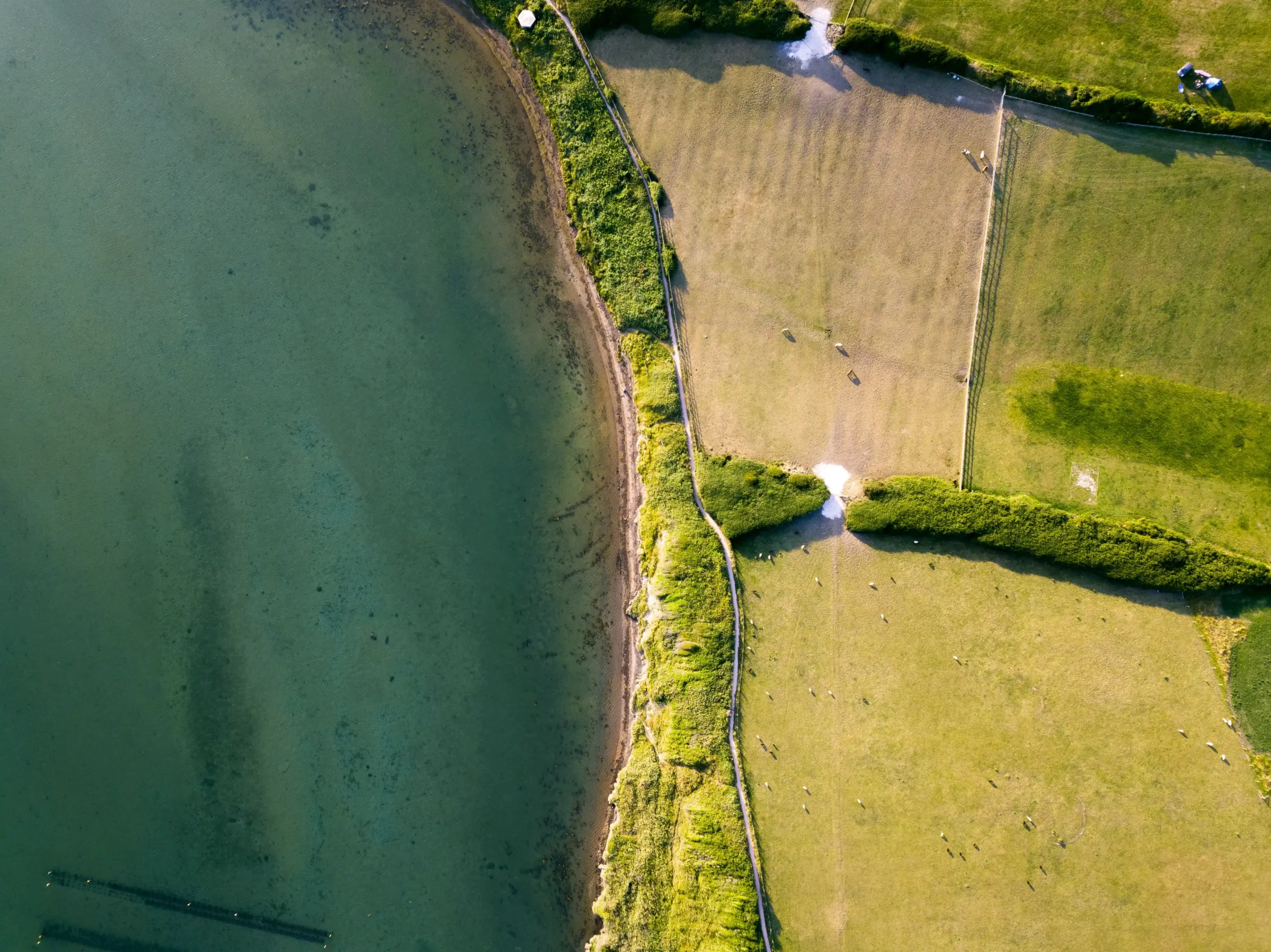 effluents agricoles, industriels et artisanaux